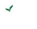 Lounge Citrus